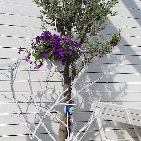 穆套房酒店 酒店 2*