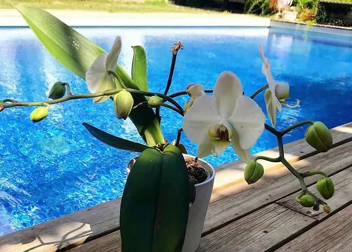 Mu Suites The מלון