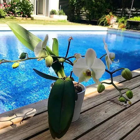 ム スイーツ ザ ホテル