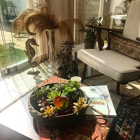 ム スイーツ ザ ホテル オータキャンツ