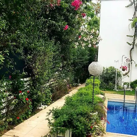 ム スイーツ ザ