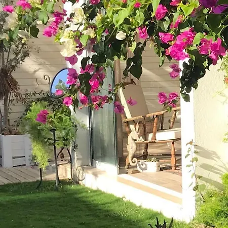 ム スイーツ ザ ホテル 2*