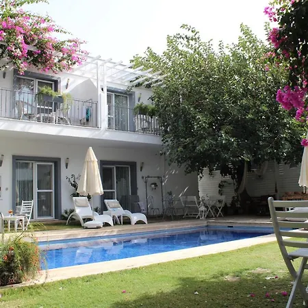 Hotel Mu Suites The