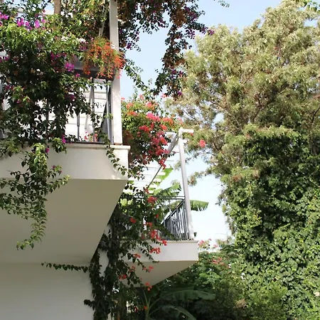 Hotel Mu Suites The