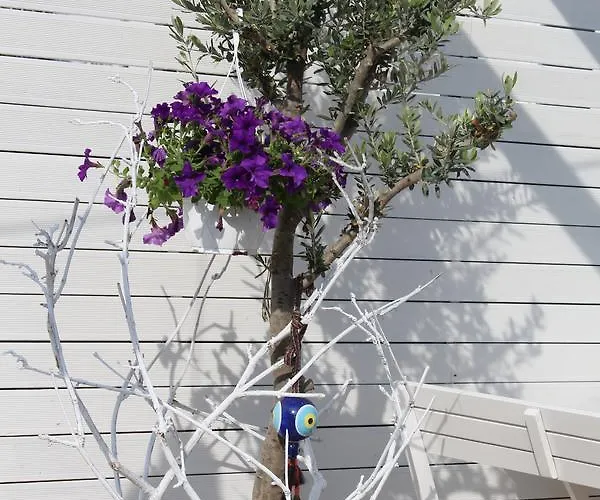 Mu Suites The Hotel 2*