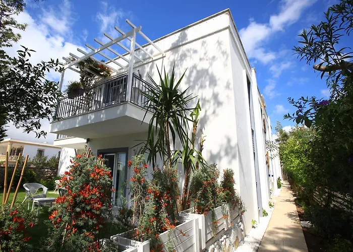 Hotel Mu Suites The 2*