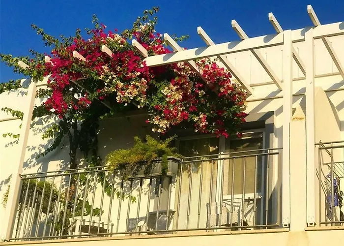 Szálloda Mu Suites The Ortakent