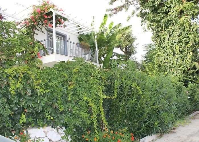 Mu Suites The Szálloda