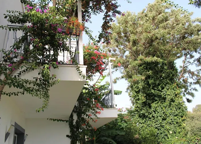 Szálloda Mu Suites The